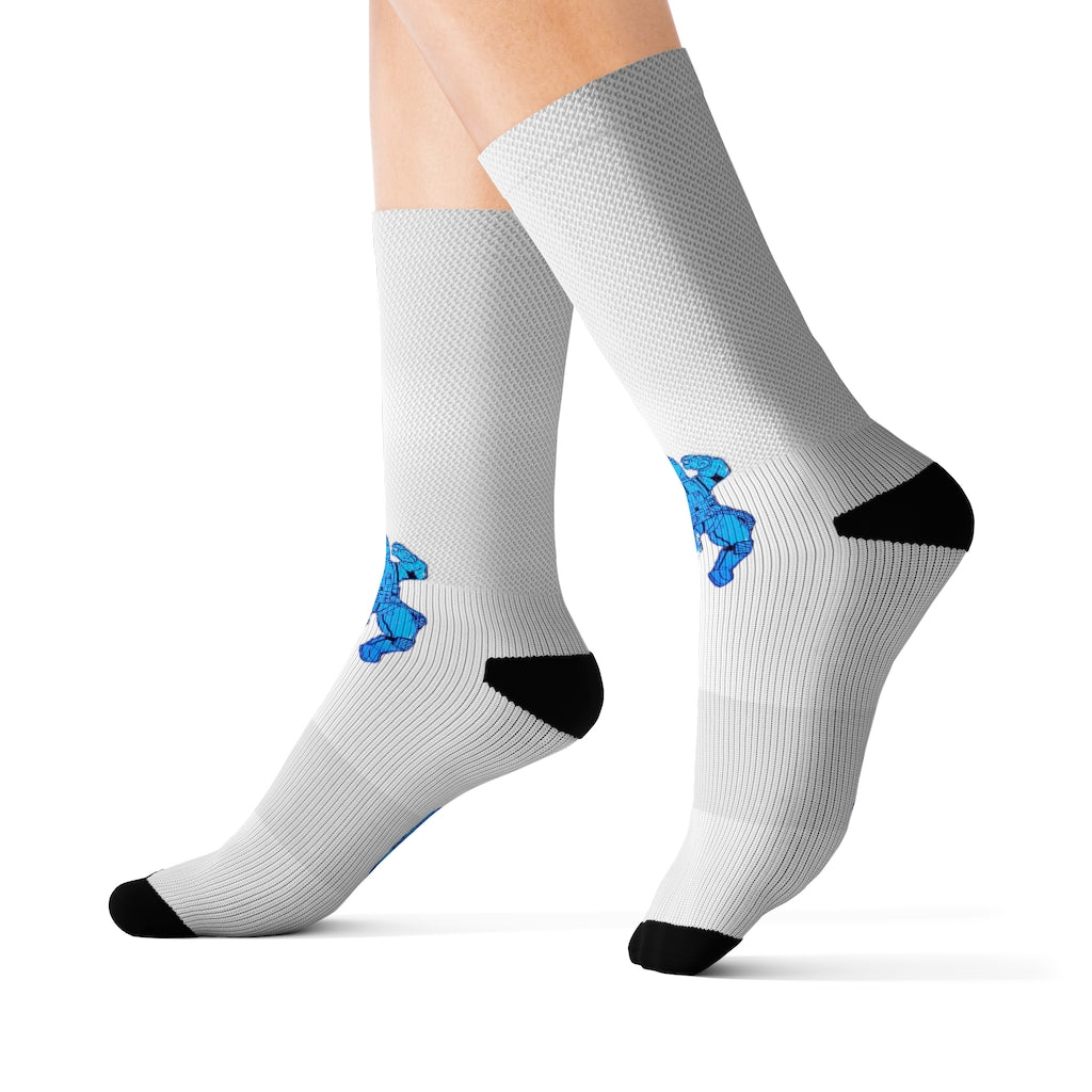 DrippyFish™ Space Academy Socks