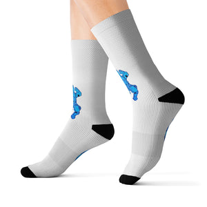 DrippyFish™ Space Academy Socks